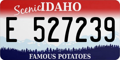 ID license plate E527239