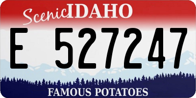 ID license plate E527247