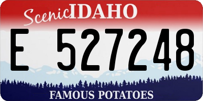 ID license plate E527248