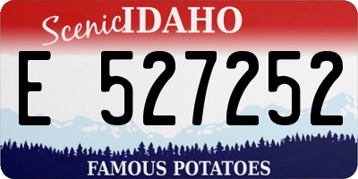 ID license plate E527252