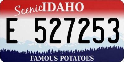 ID license plate E527253