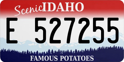 ID license plate E527255