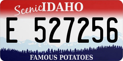 ID license plate E527256