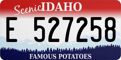 ID license plate E527258