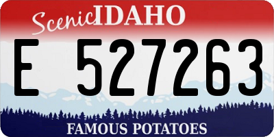 ID license plate E527263