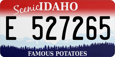 ID license plate E527265