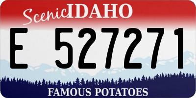 ID license plate E527271