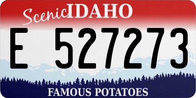 ID license plate E527273