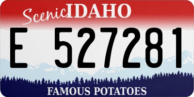 ID license plate E527281