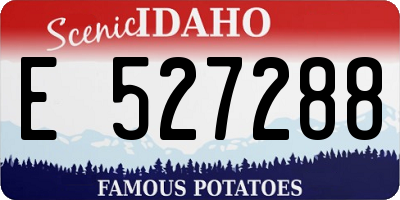 ID license plate E527288