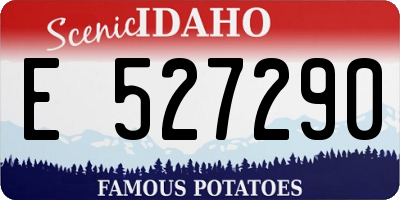 ID license plate E527290