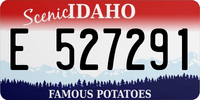 ID license plate E527291