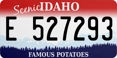 ID license plate E527293