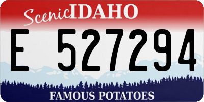 ID license plate E527294