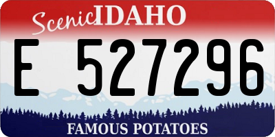 ID license plate E527296