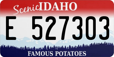 ID license plate E527303