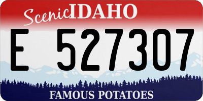 ID license plate E527307