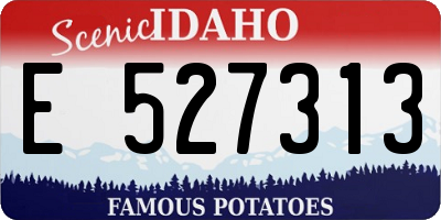 ID license plate E527313
