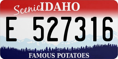 ID license plate E527316