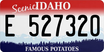 ID license plate E527320