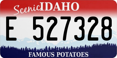 ID license plate E527328