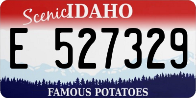 ID license plate E527329