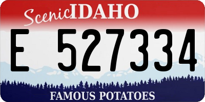 ID license plate E527334