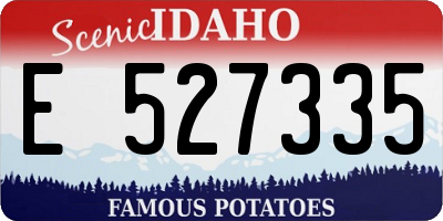 ID license plate E527335
