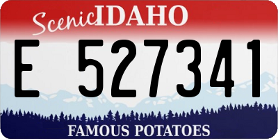 ID license plate E527341