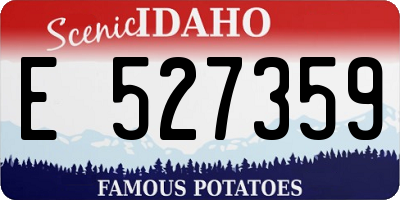 ID license plate E527359