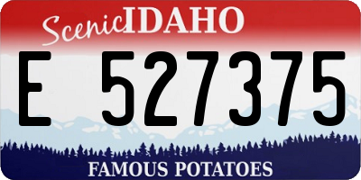 ID license plate E527375