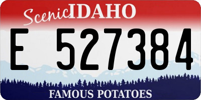 ID license plate E527384
