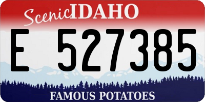 ID license plate E527385