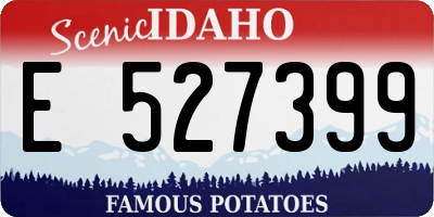 ID license plate E527399