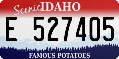 ID license plate E527405