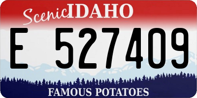 ID license plate E527409