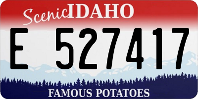 ID license plate E527417