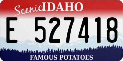 ID license plate E527418