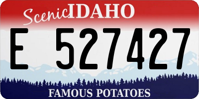 ID license plate E527427