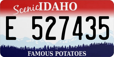 ID license plate E527435