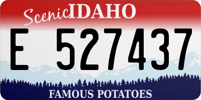 ID license plate E527437