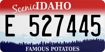 ID license plate E527445