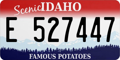ID license plate E527447