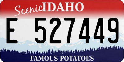 ID license plate E527449