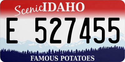 ID license plate E527455