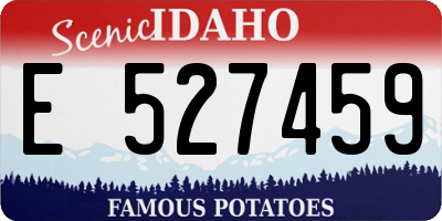 ID license plate E527459