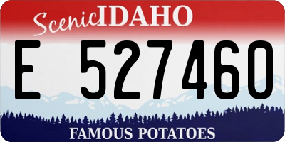 ID license plate E527460