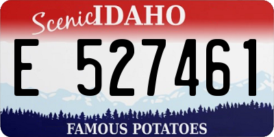 ID license plate E527461