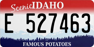 ID license plate E527463