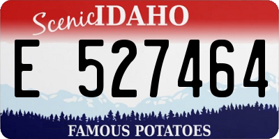 ID license plate E527464